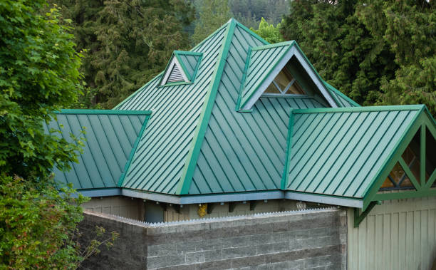 Best Rubber Roofing (EPDM, TPO)  in Wayland, MI