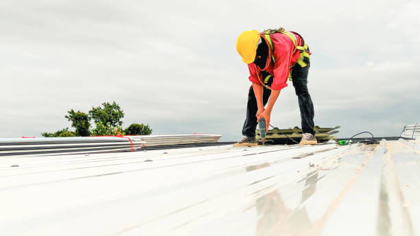Best Chimney Flashing Repair  in Wayland, MI