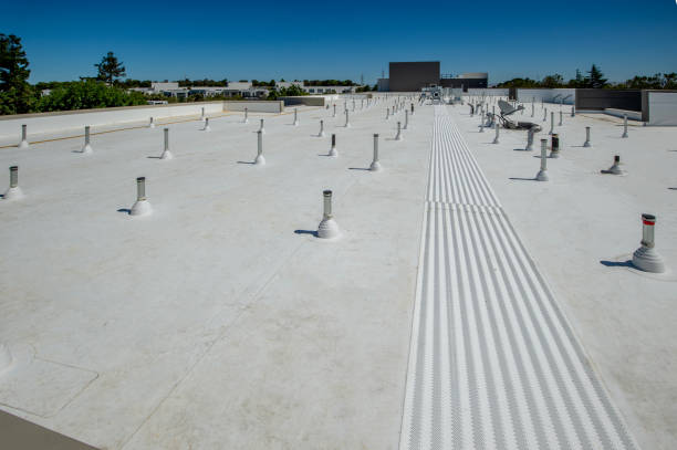 Best Roof Leak Repair  in Wayland, MI